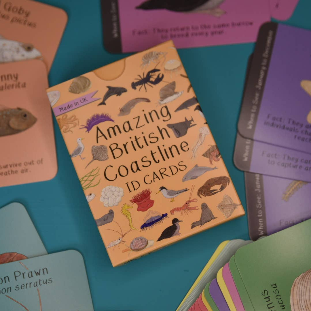 Amazing British Coastline Cards