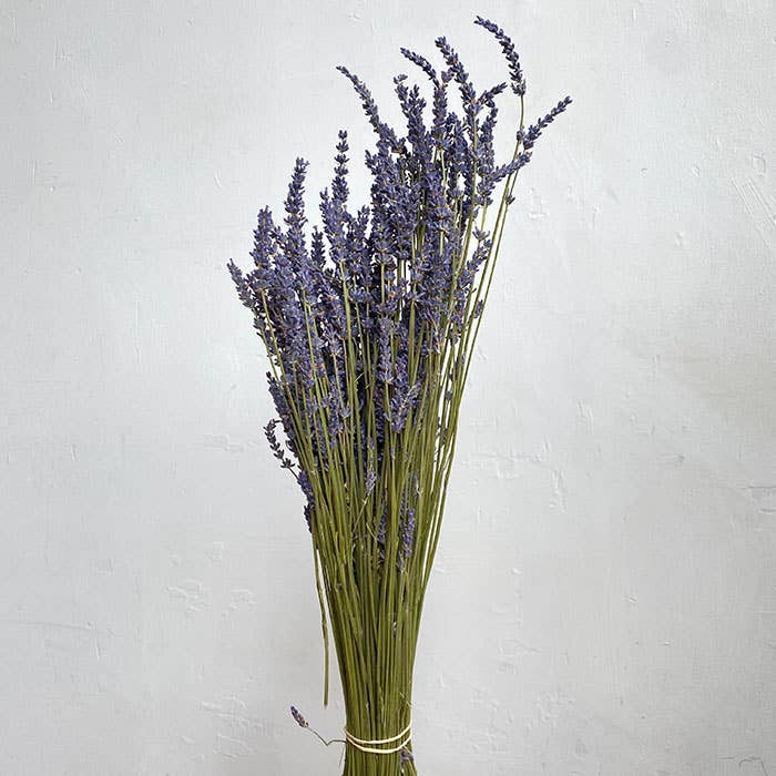 Dried Natural Lavender