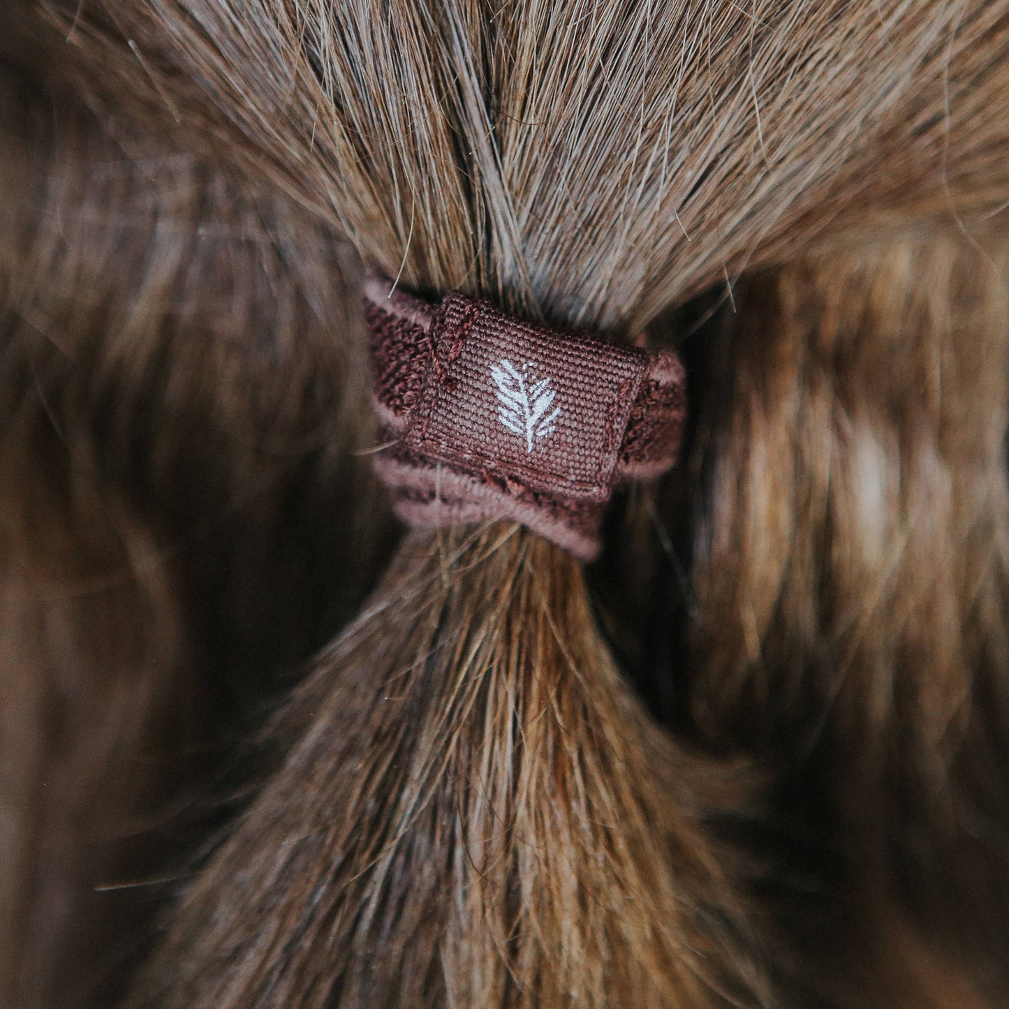 Plastic Free Hair Ties | 6 Pack | Natural