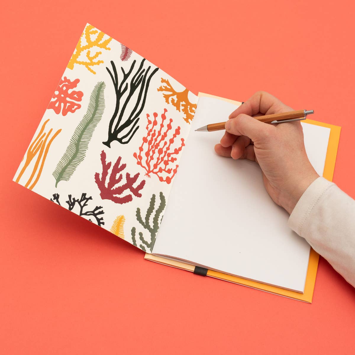 Notebook and Folder | Seaweed
