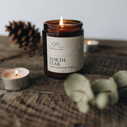 North Star Soy Candle | Clementine and Clove