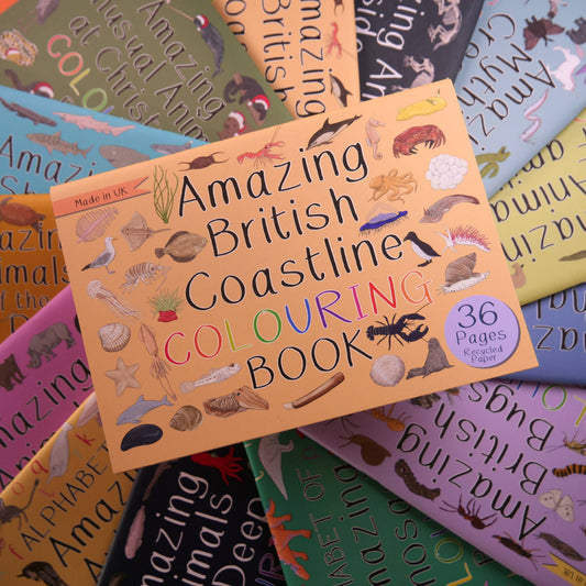 Amazing British Coastline Colouring Book