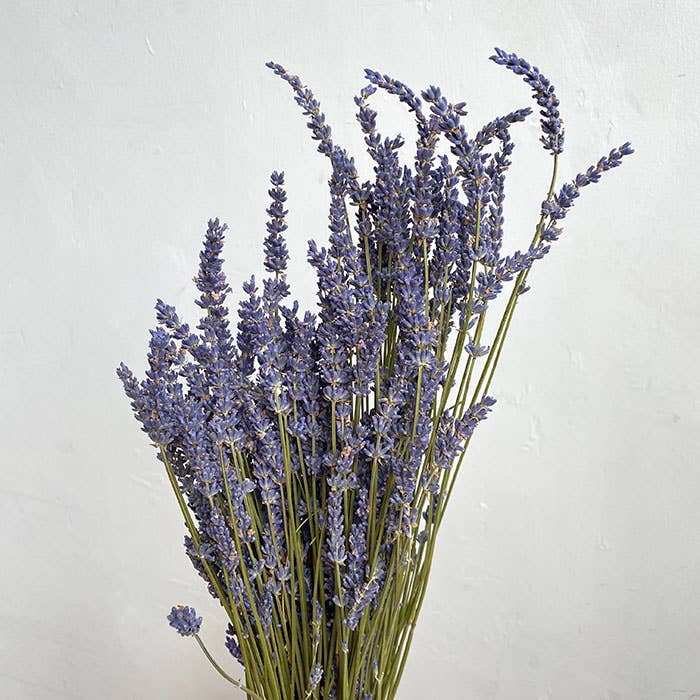 Dried Natural Lavender