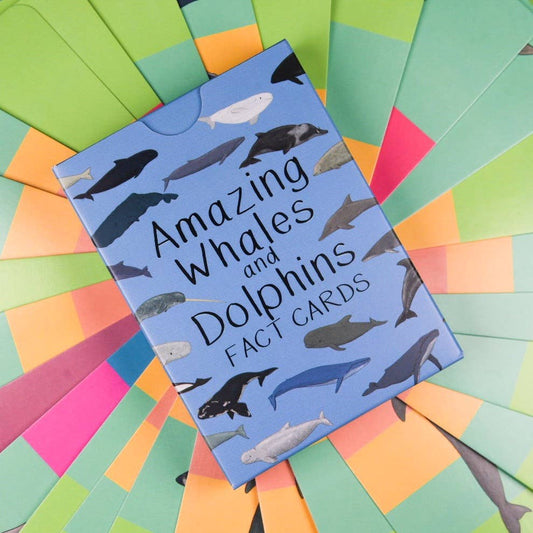 Amazing Whales and Dolphins Fact Cards