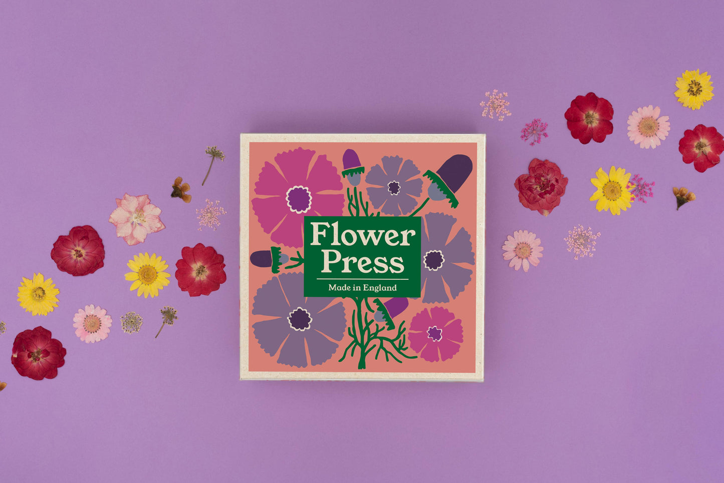 Flower Press | Cosmos