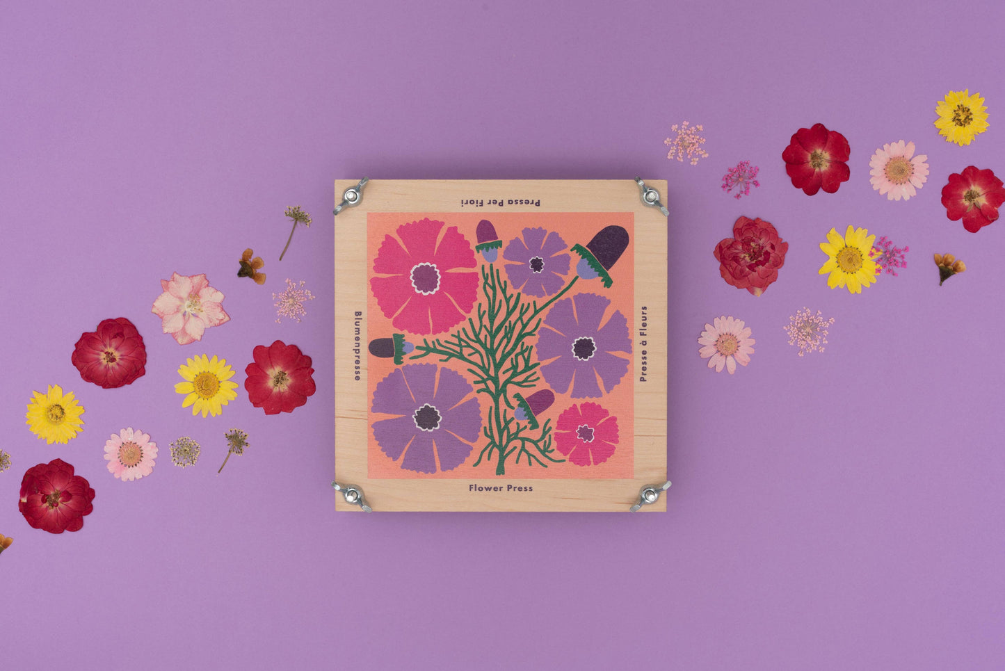 Flower Press | Cosmos