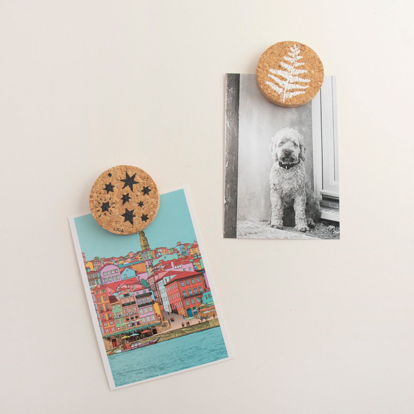 Stars Cork Magnet