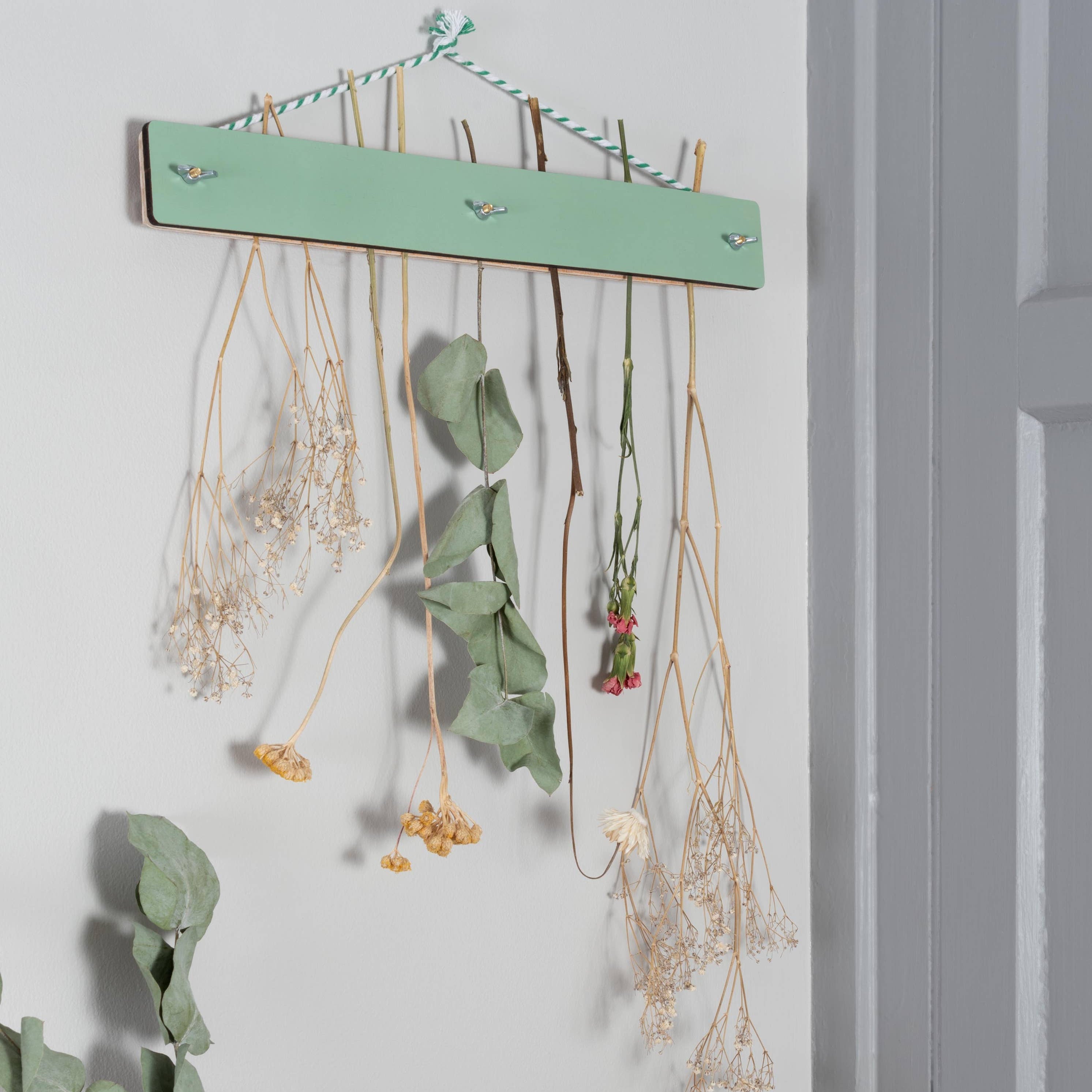 Flower Drying Kit | Green Wash