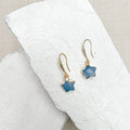Agate Star Grey Earrings