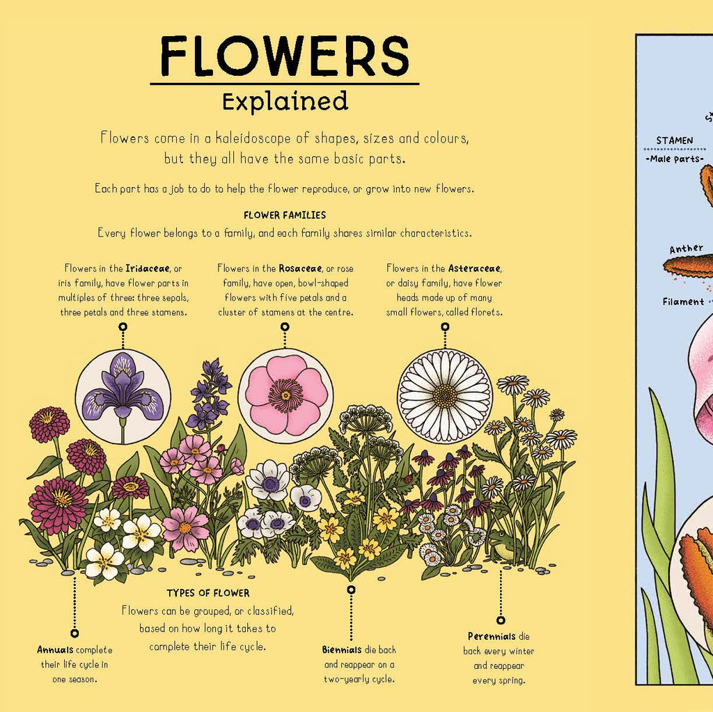 Nature Explained | Hardback Book