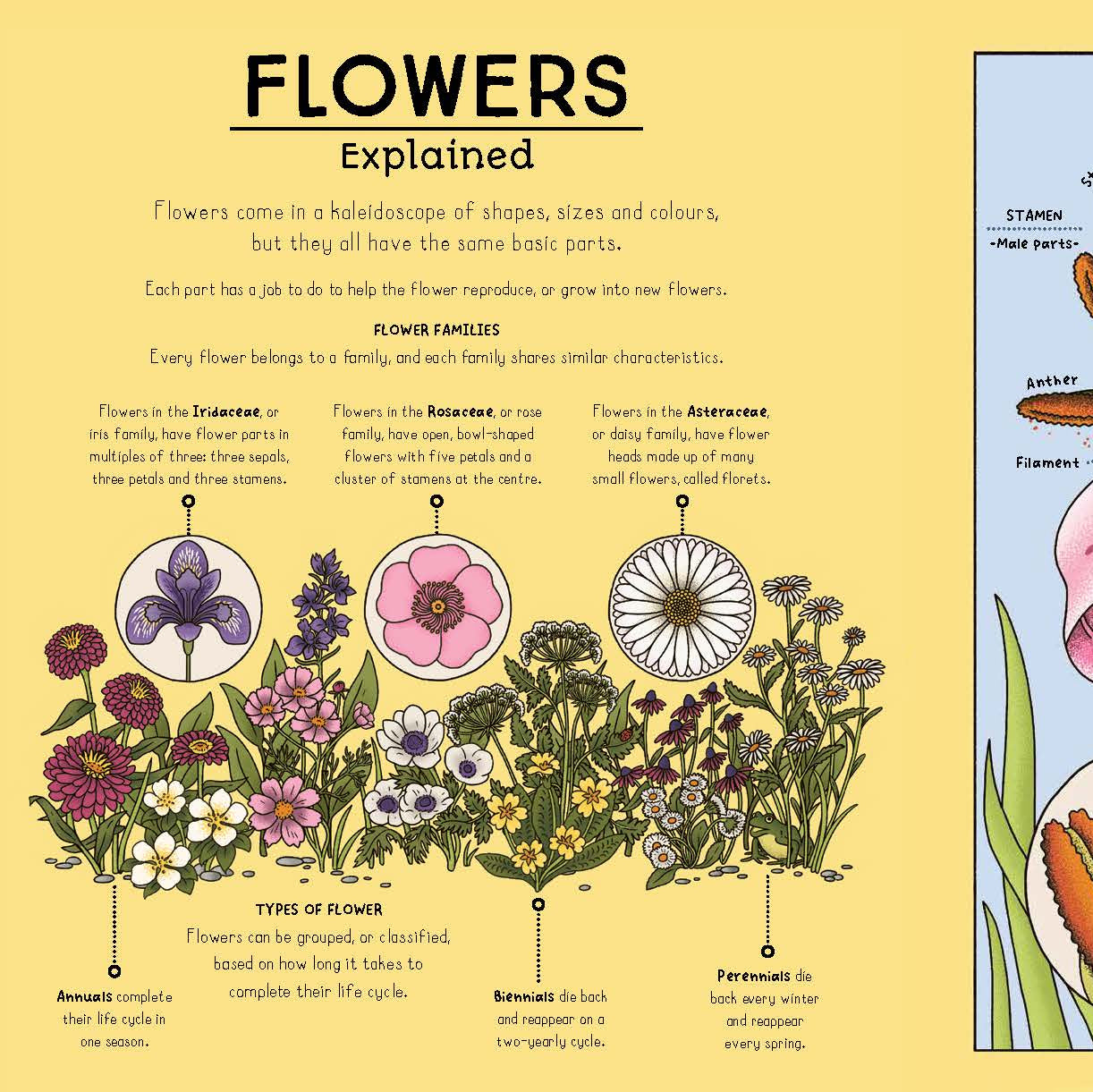 Nature Explained | Hardback Book