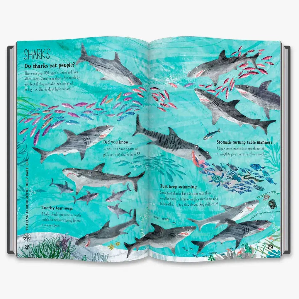 The Big Book of the Blue