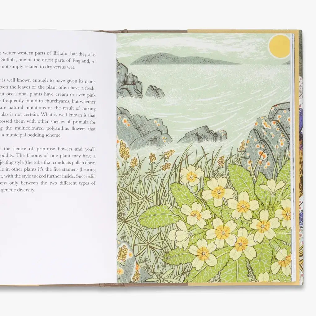 The Book of Wild Flowers