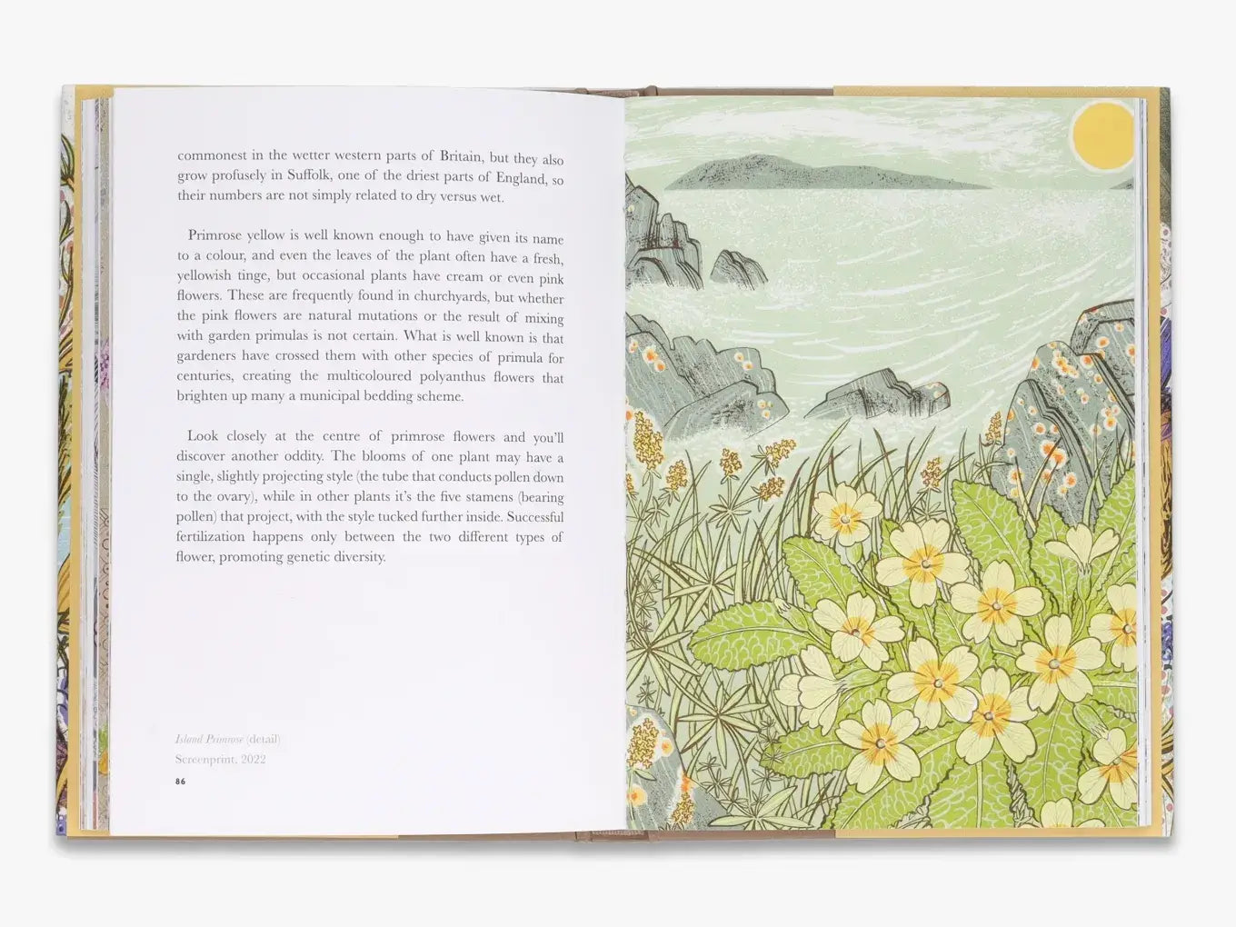 The Book of Wild Flowers