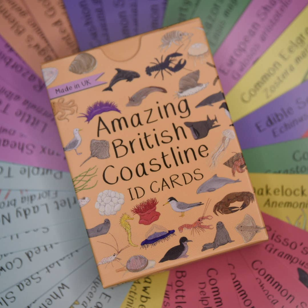 Amazing British Coastline Cards