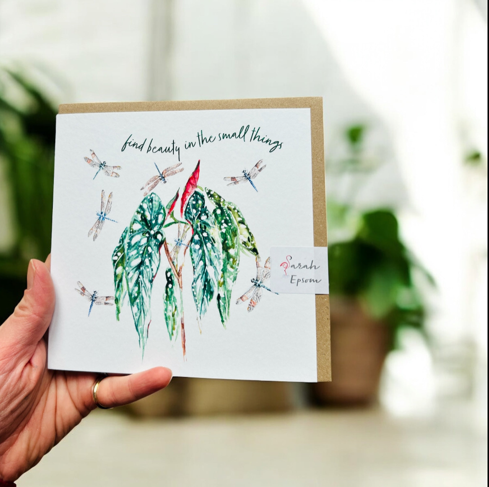 Dragonflies | Find beauty in the small things 'Magic Moment' | Sarah Epsom