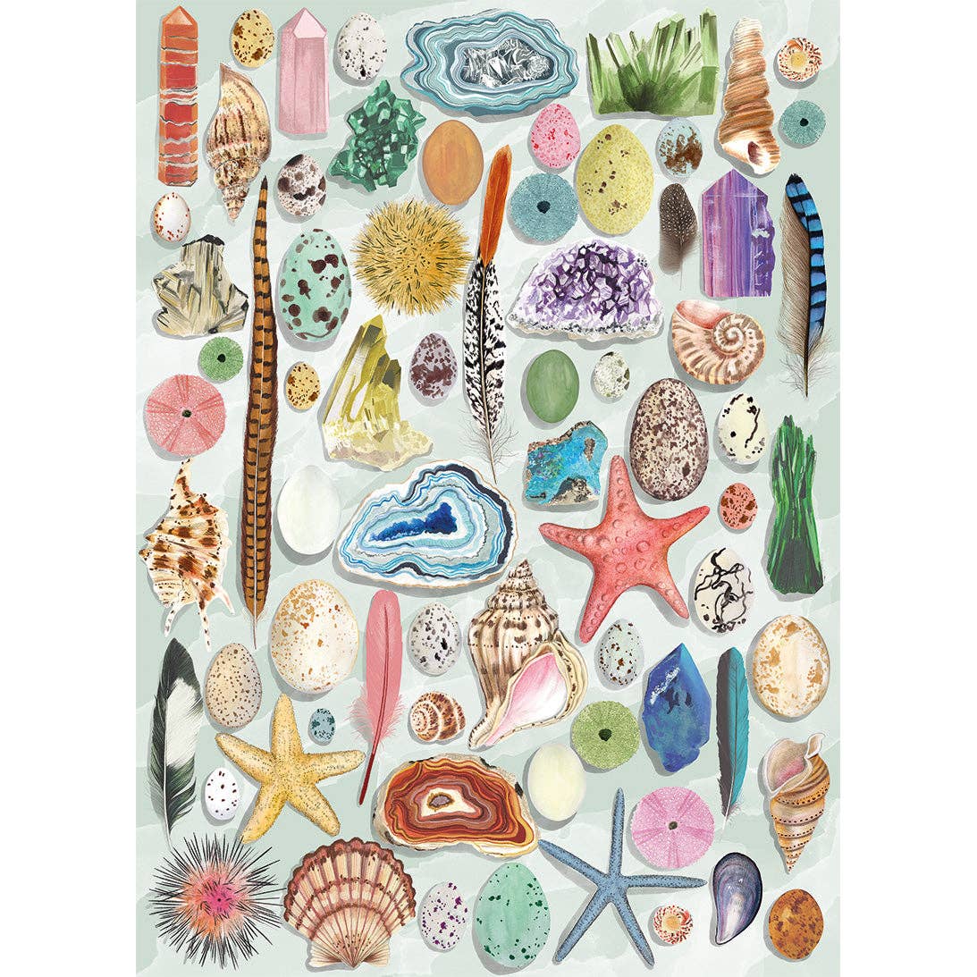 Natural Curiosities | 1000 Piece Jigsaw Puzzle