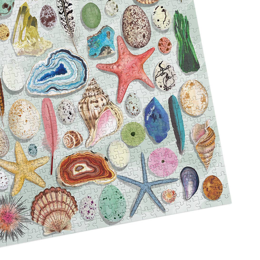 Natural Curiosities | 1000 Piece Jigsaw Puzzle