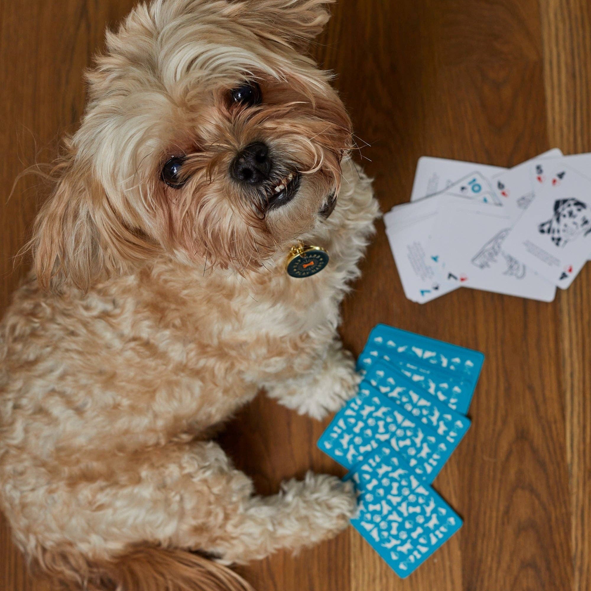 Dog Playing Cards