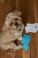 Dog Playing Cards