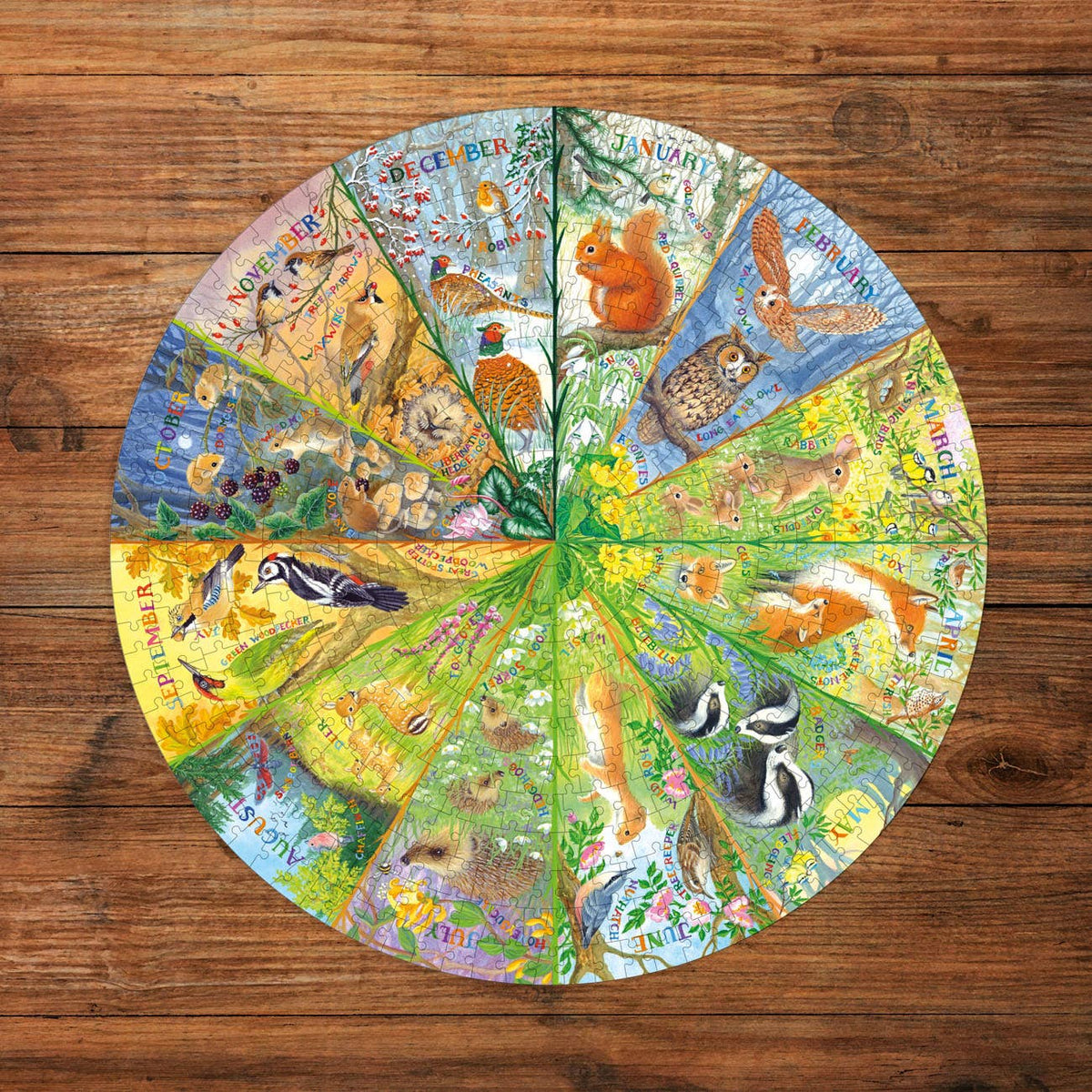 A Year in the Forest 500 Piece Jigsaw Puzzle | National Trust