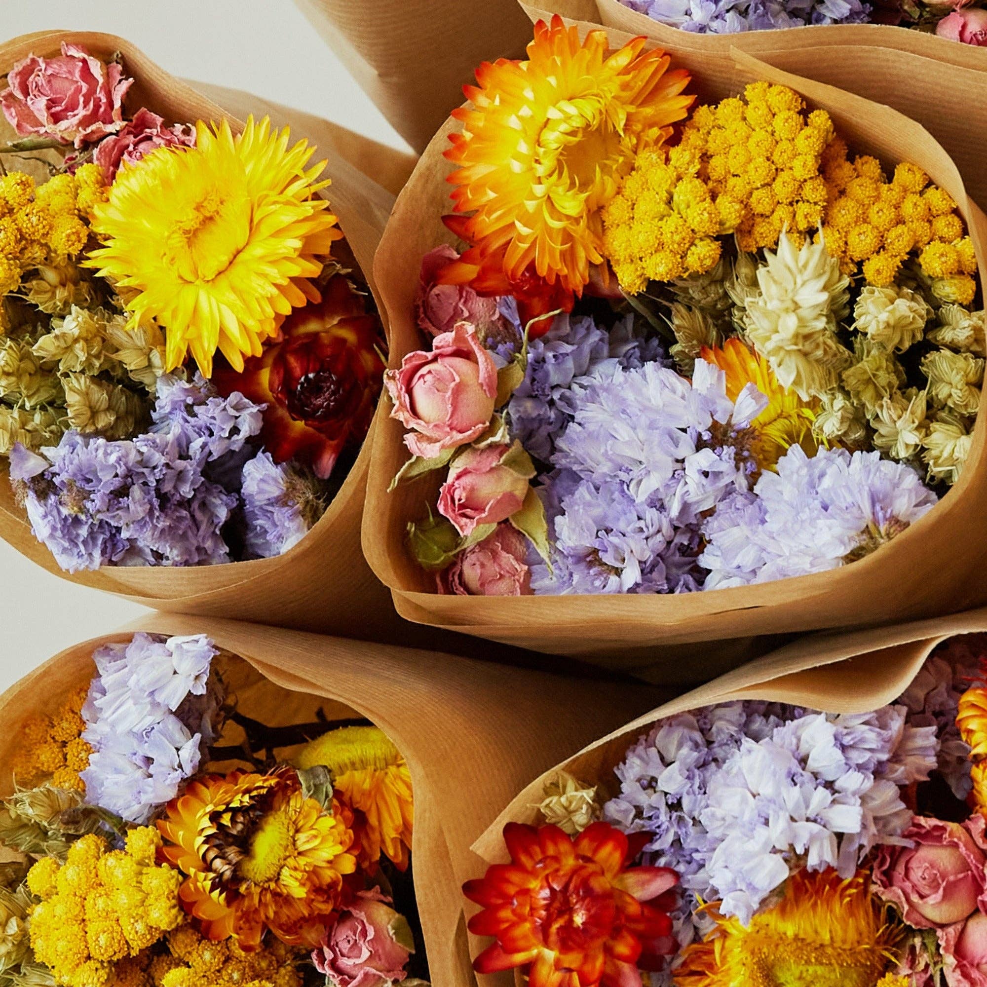 Dried Flowers | Market More | Multi