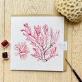 Seaweed Greeting Card, Sea Meadow | Sarah Epsom