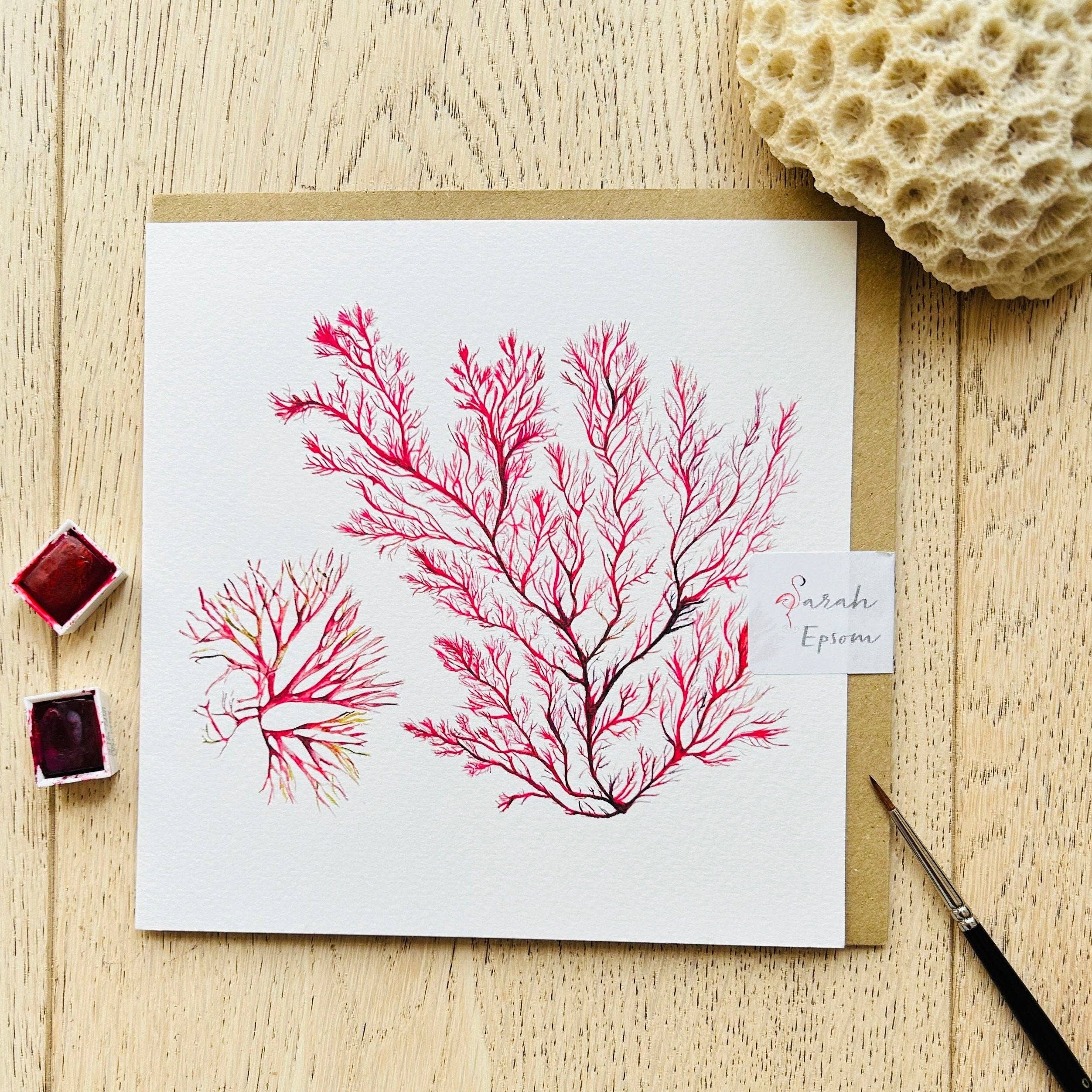 Seaweed Greeting Card, Sea Meadow | Sarah Epsom