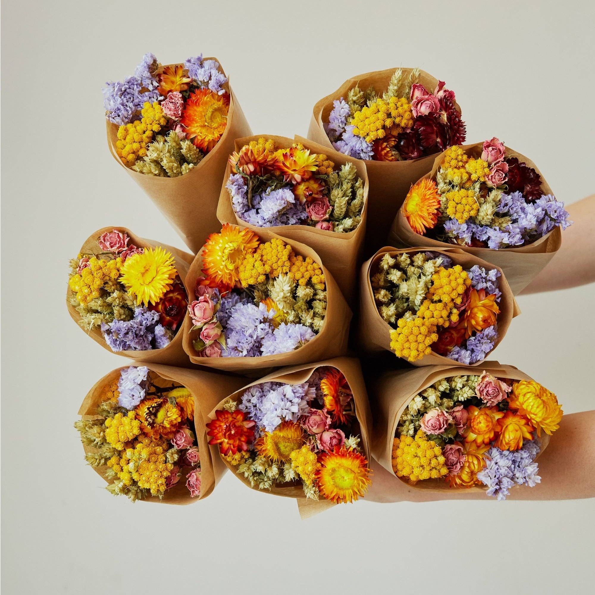 Dried Flowers | Market More | Multi