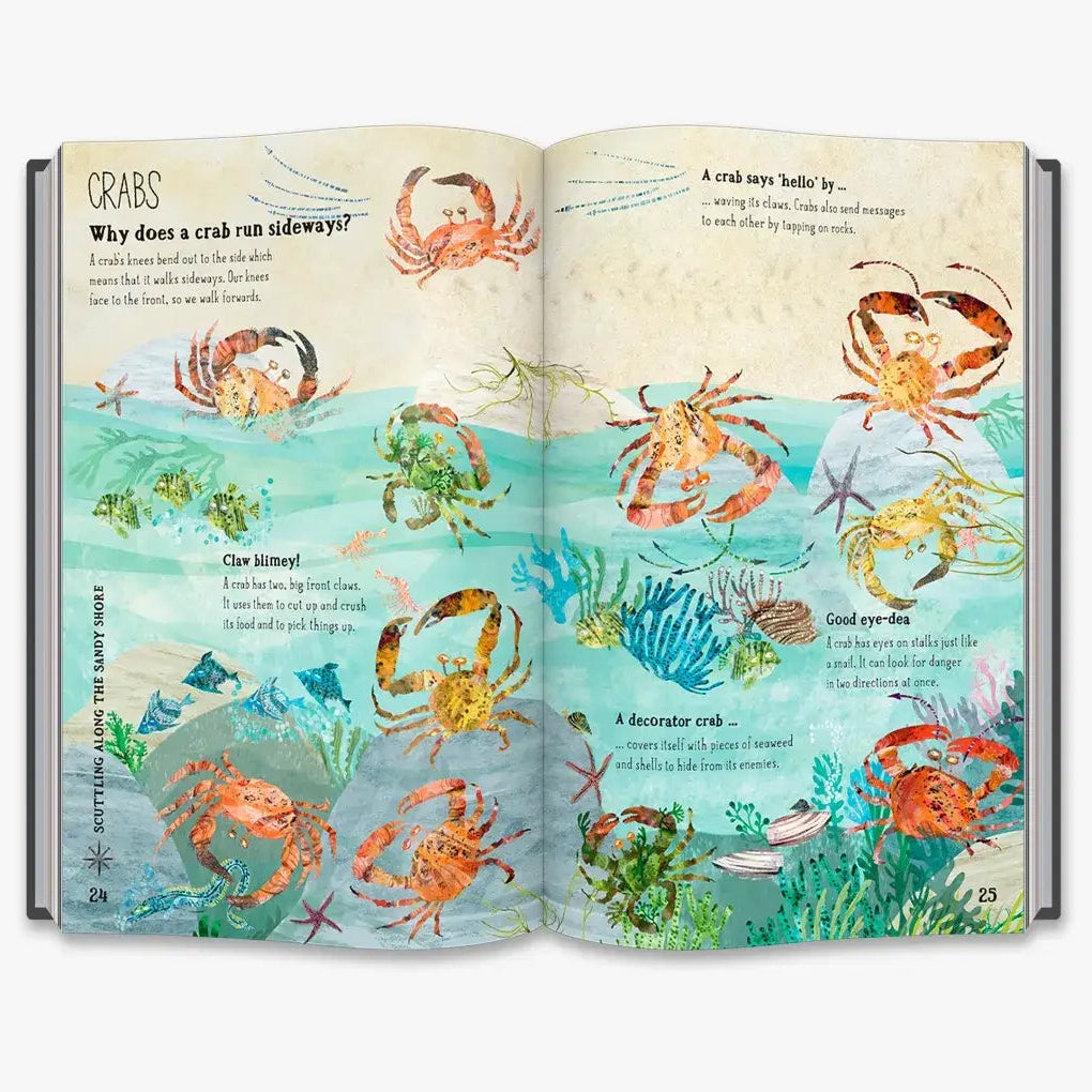 The Big Book of the Blue