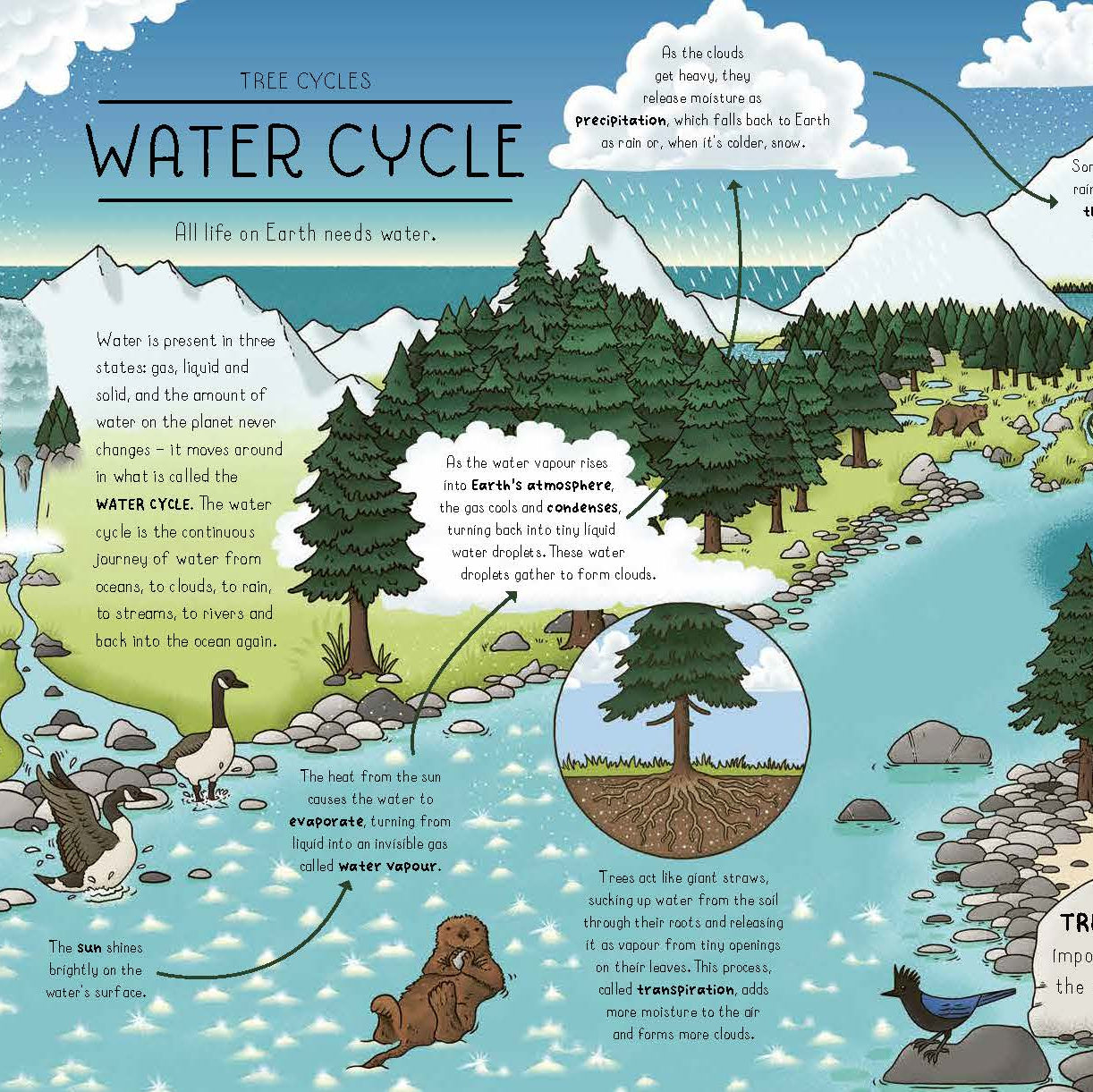 Nature Explained | Hardback Book