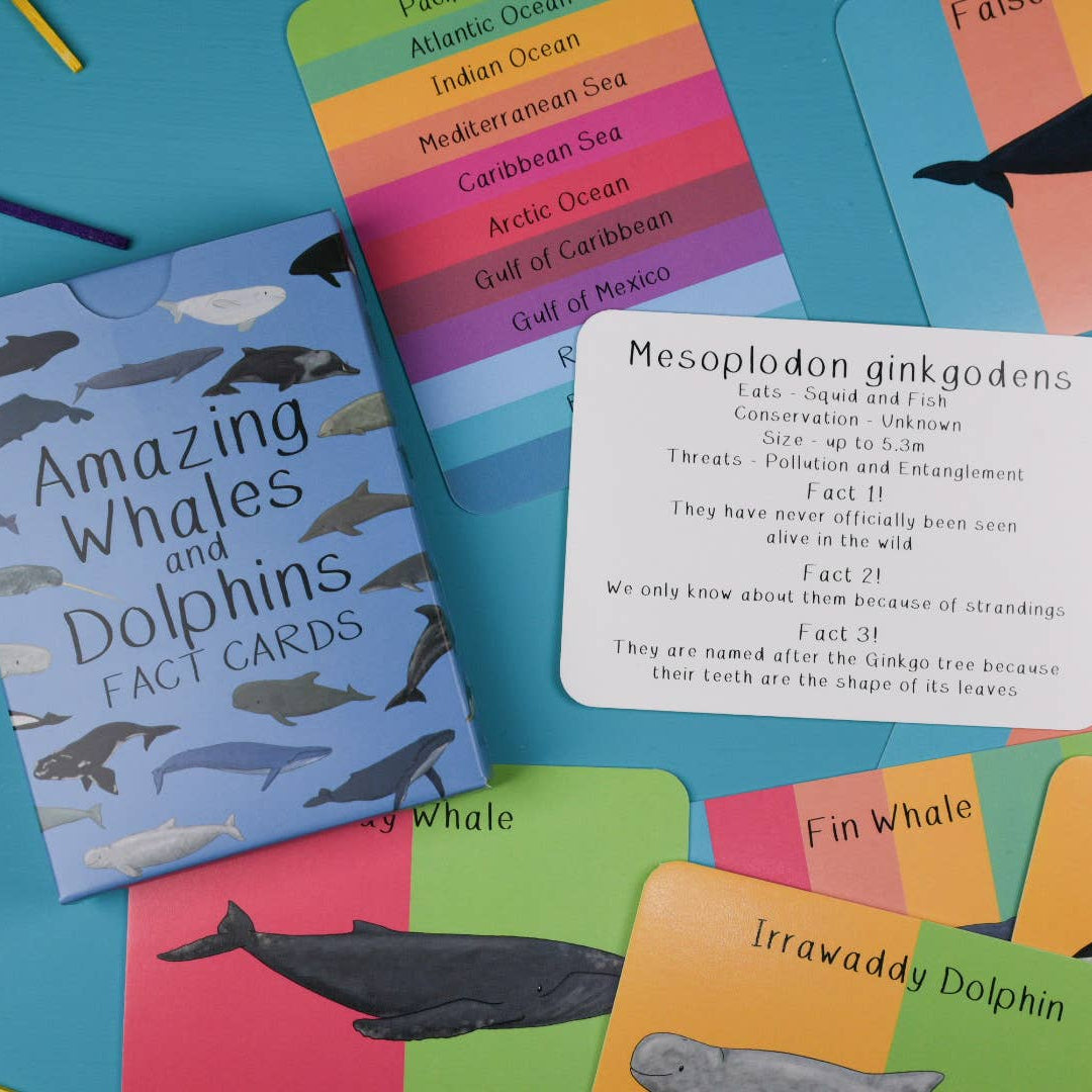 Amazing Whales and Dolphins Fact Cards