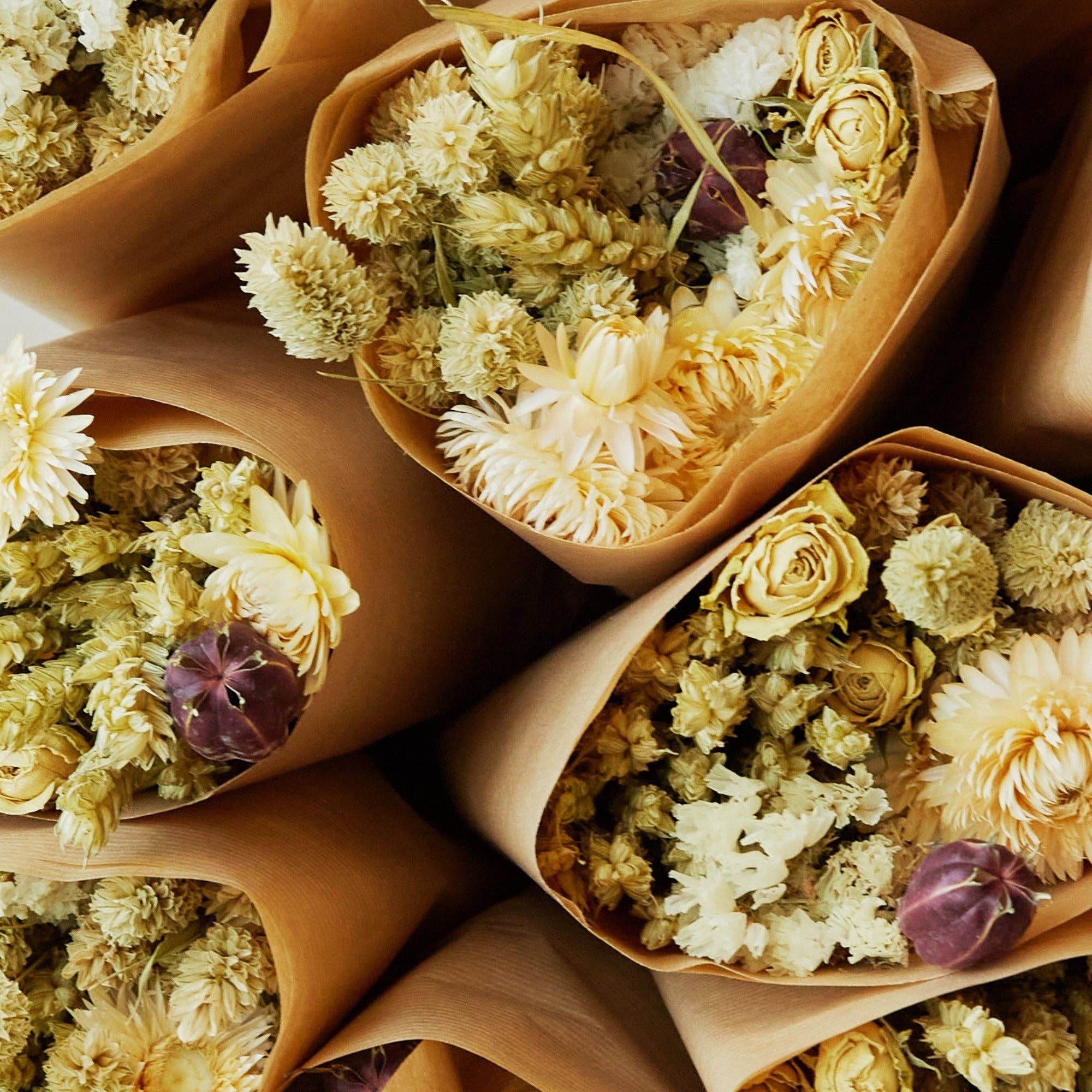 Dried Flowers | Market More | Natural