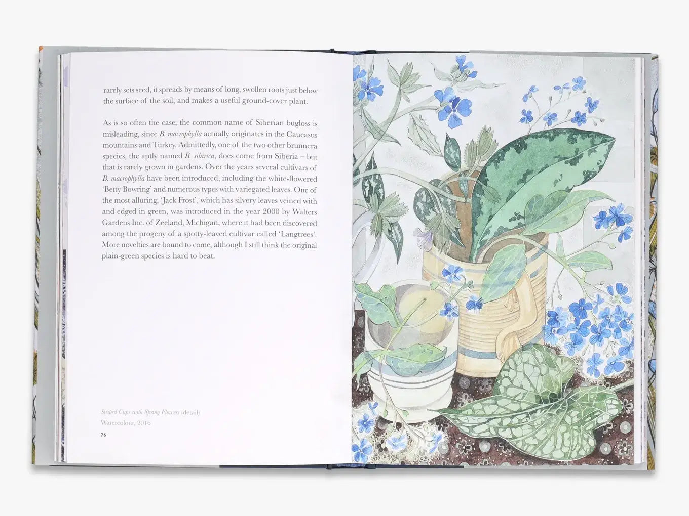 The Book of Garden Flowers
