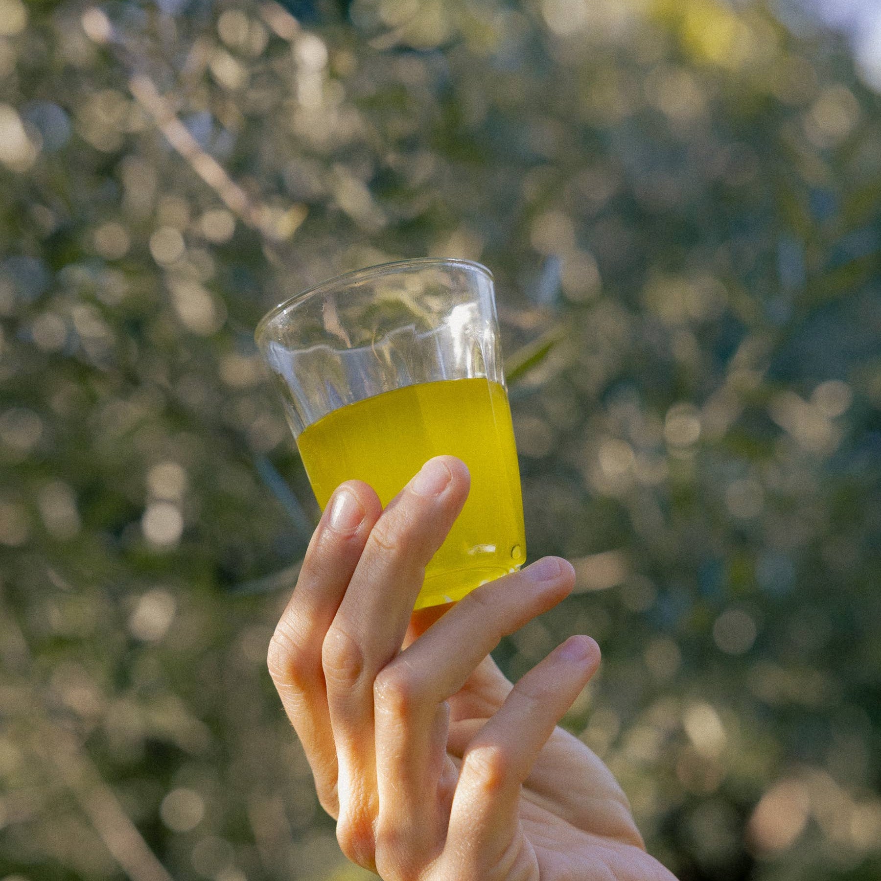500ml bottle extra virgin olive oil
