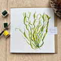 Sea Lettuce Greeting Card | Sarah Epsom