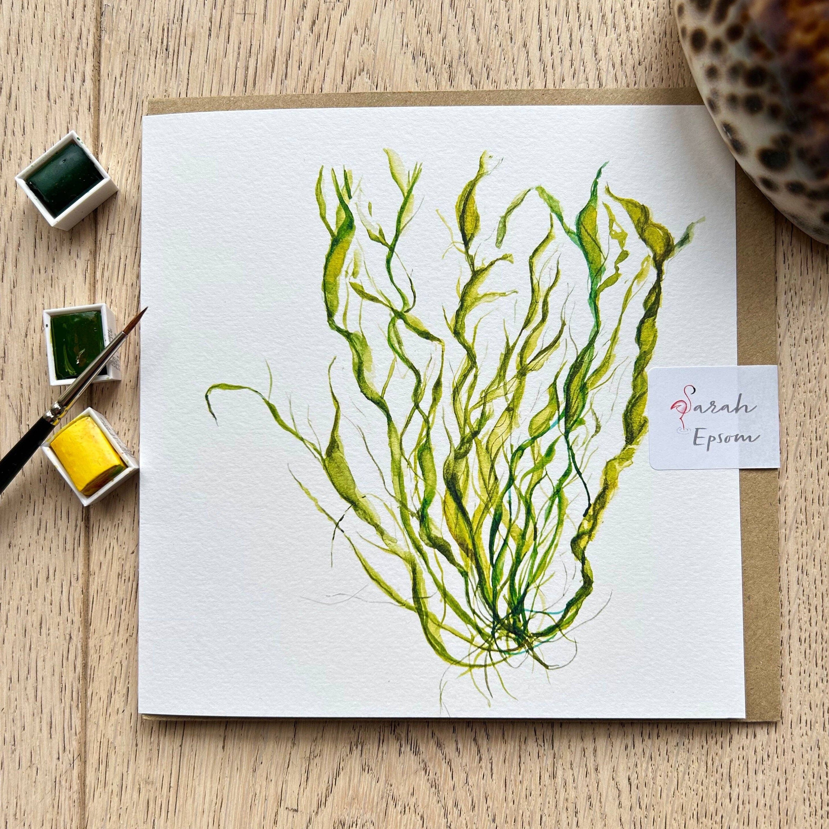Sea Lettuce Greeting Card | Sarah Epsom