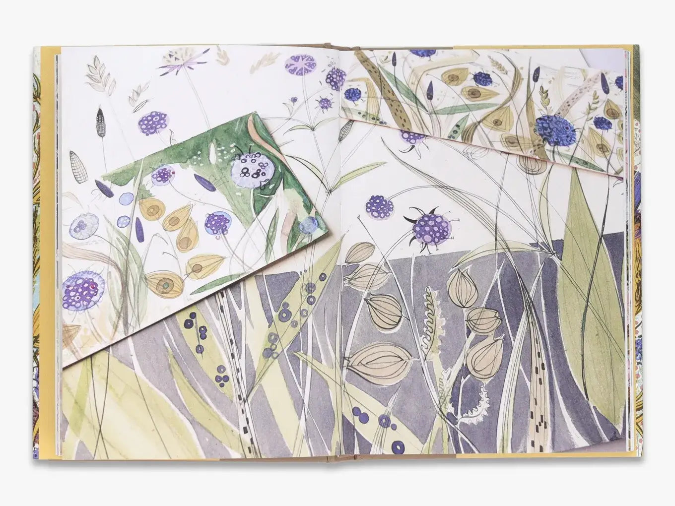 The Book of Wild Flowers