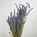Dried Natural Lavender