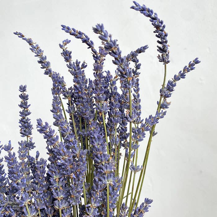 Dried Natural Lavender