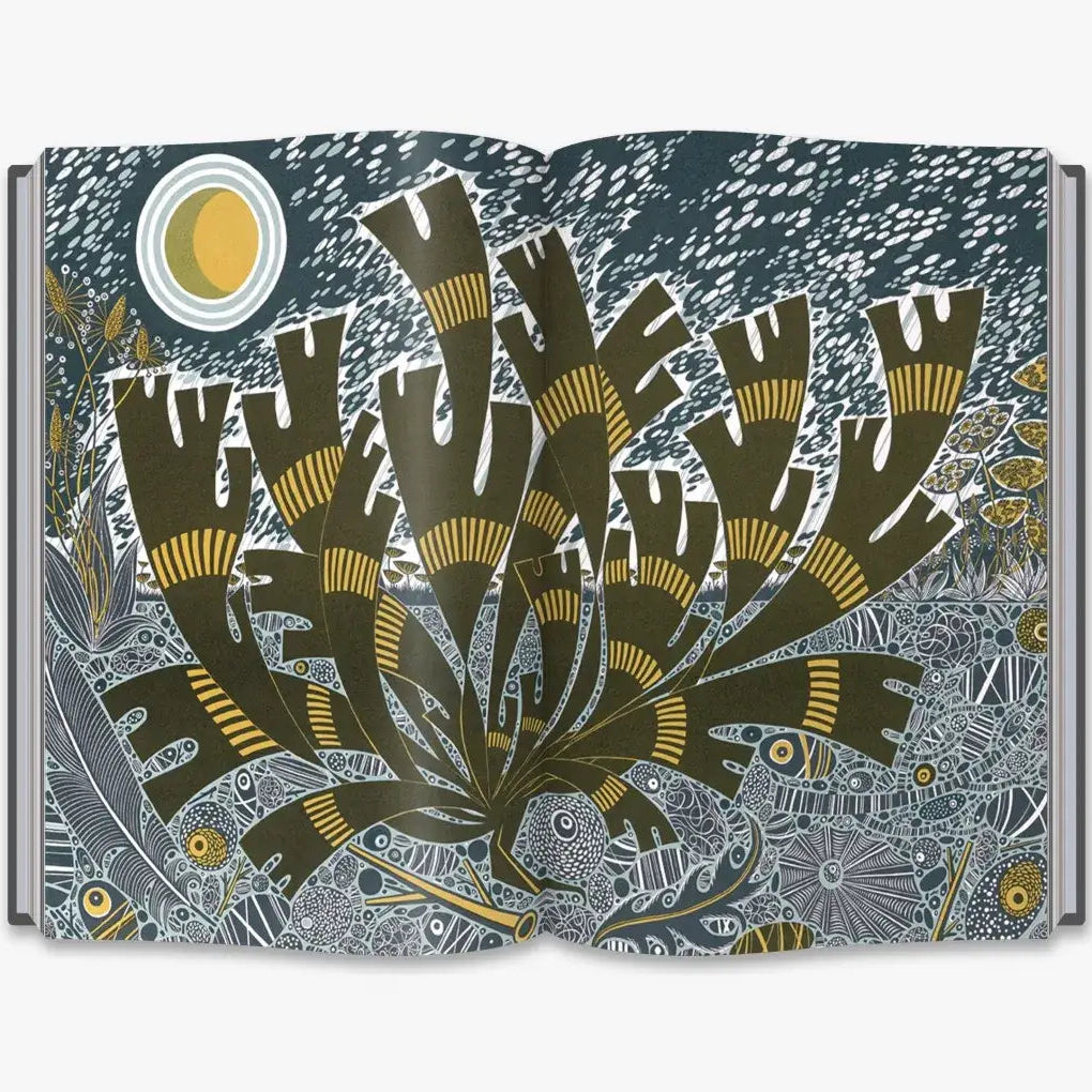 The Book of Pebbles