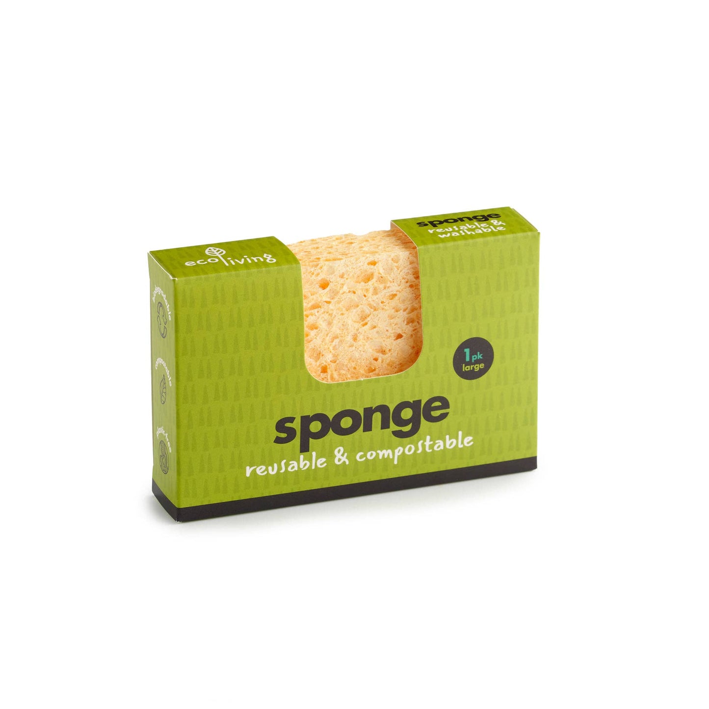 Compostable Sponge