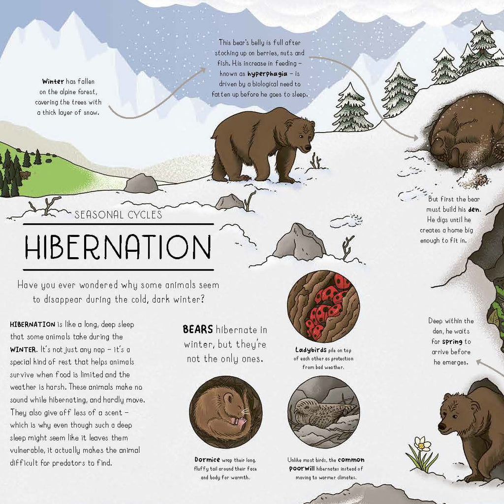 Nature Explained | Hardback Book