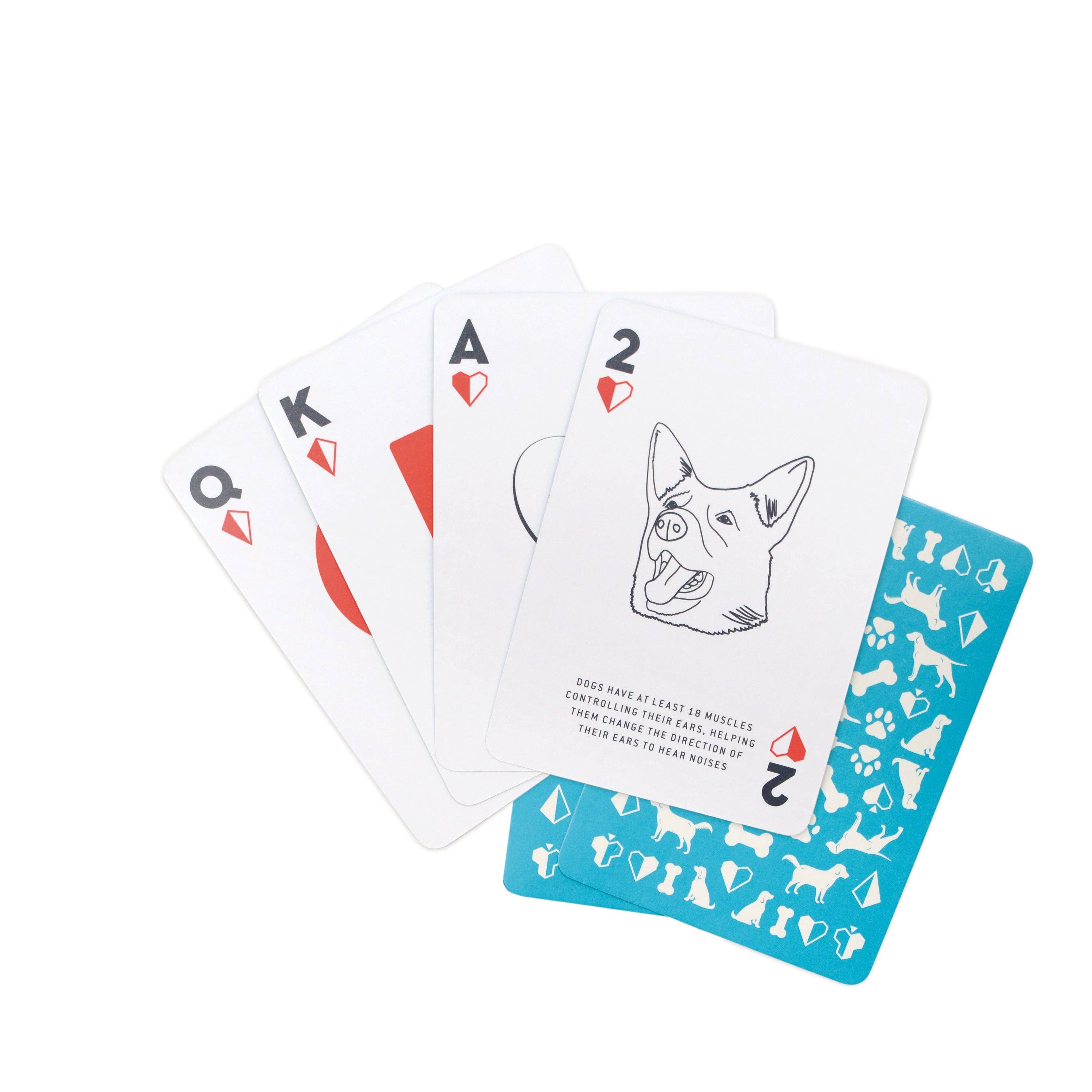 Dog Playing Cards