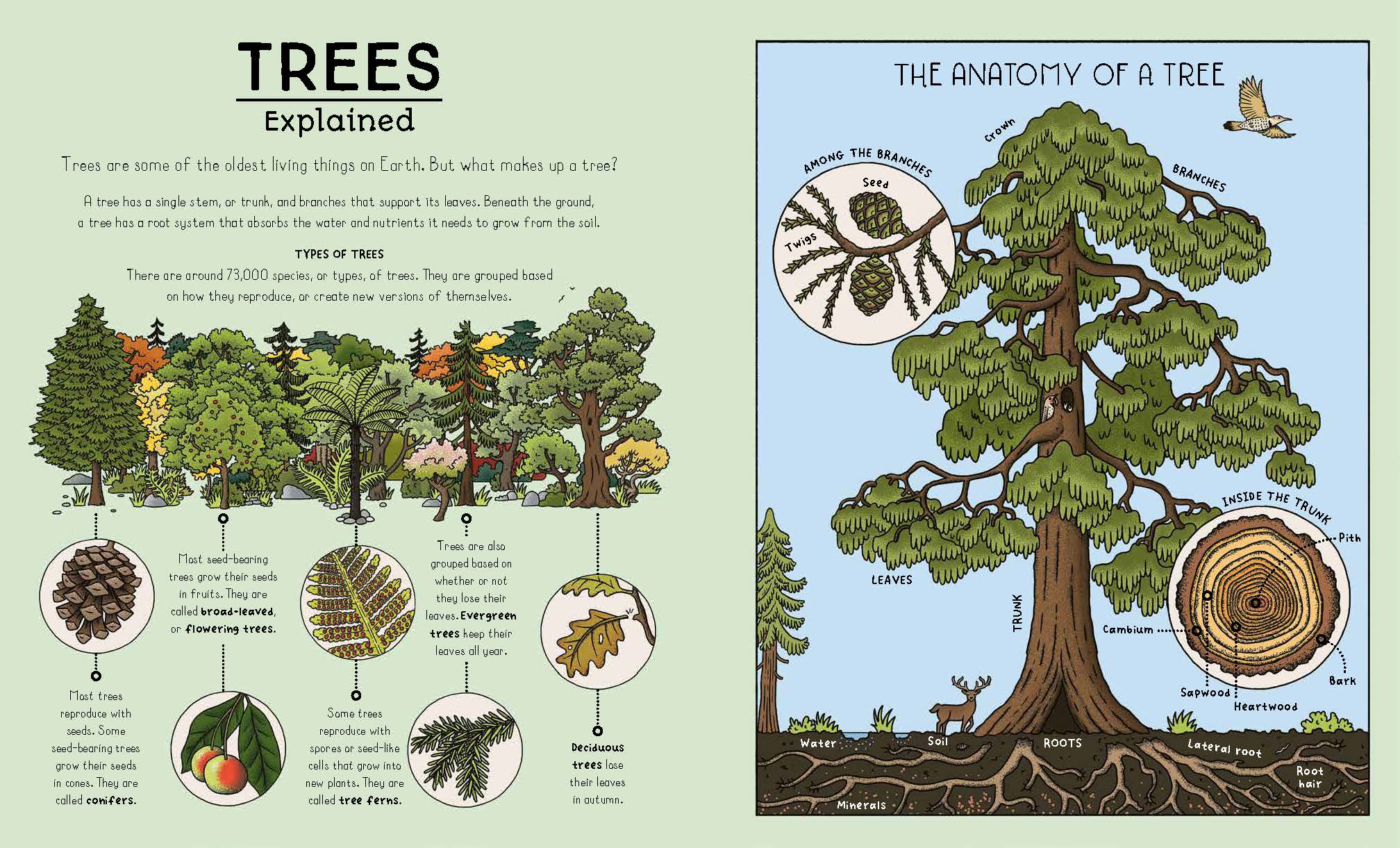 Nature Explained | Hardback Book