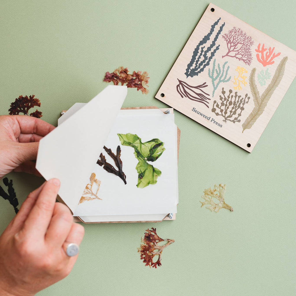 Seaweed Press Kit