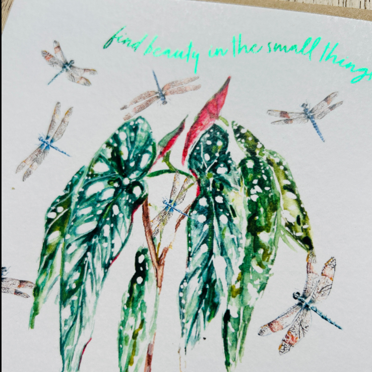 Dragonflies | Find beauty in the small things 'Magic Moment' | Sarah Epsom