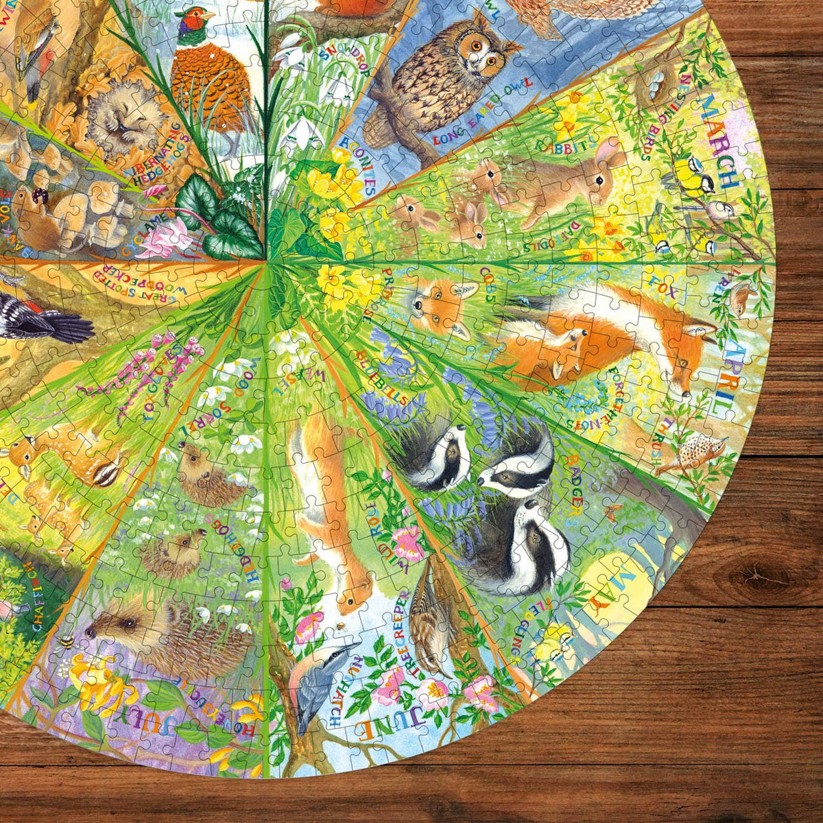 A Year in the Forest 500 Piece Jigsaw Puzzle | National Trust