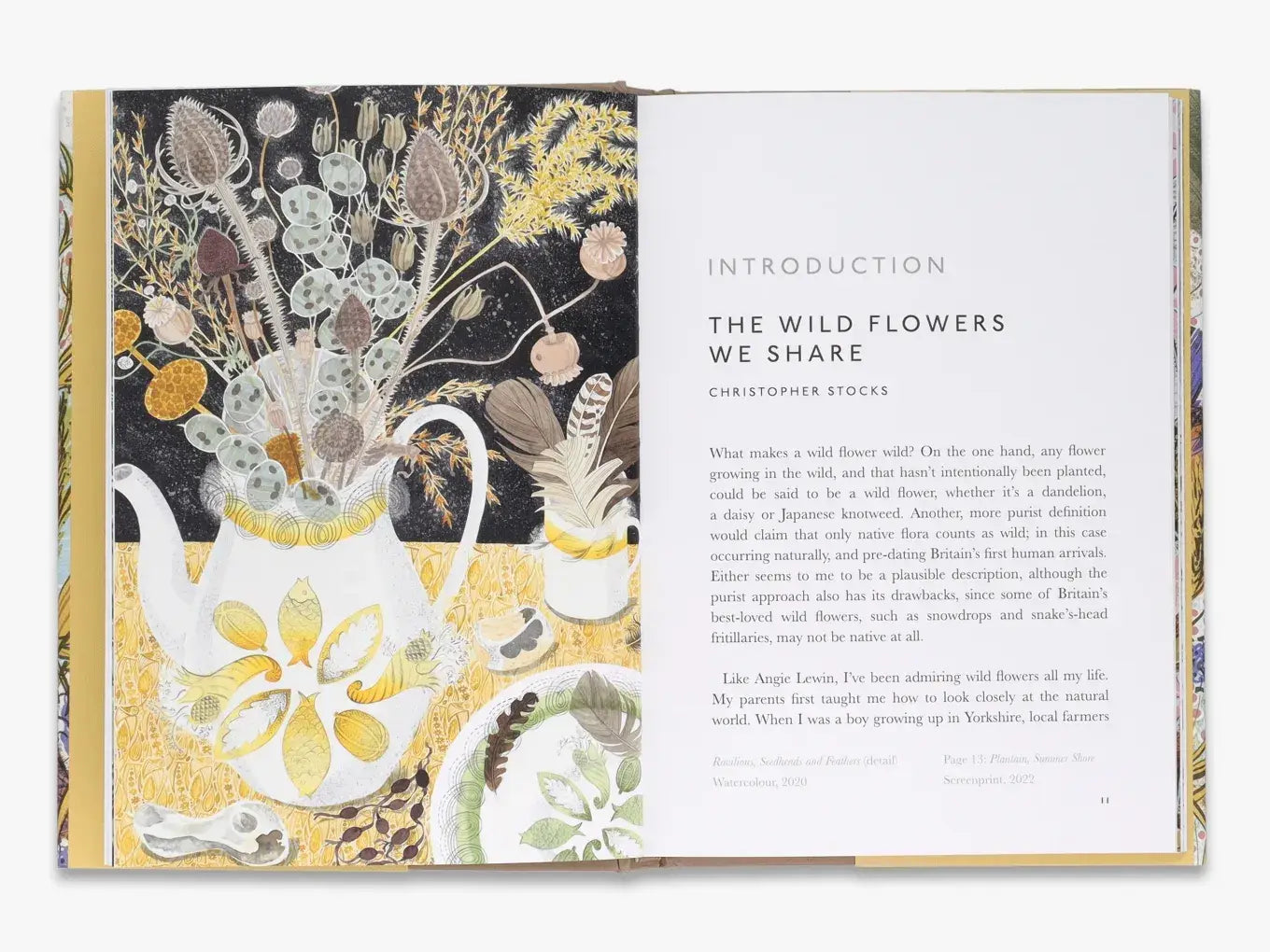 The Book of Wild Flowers