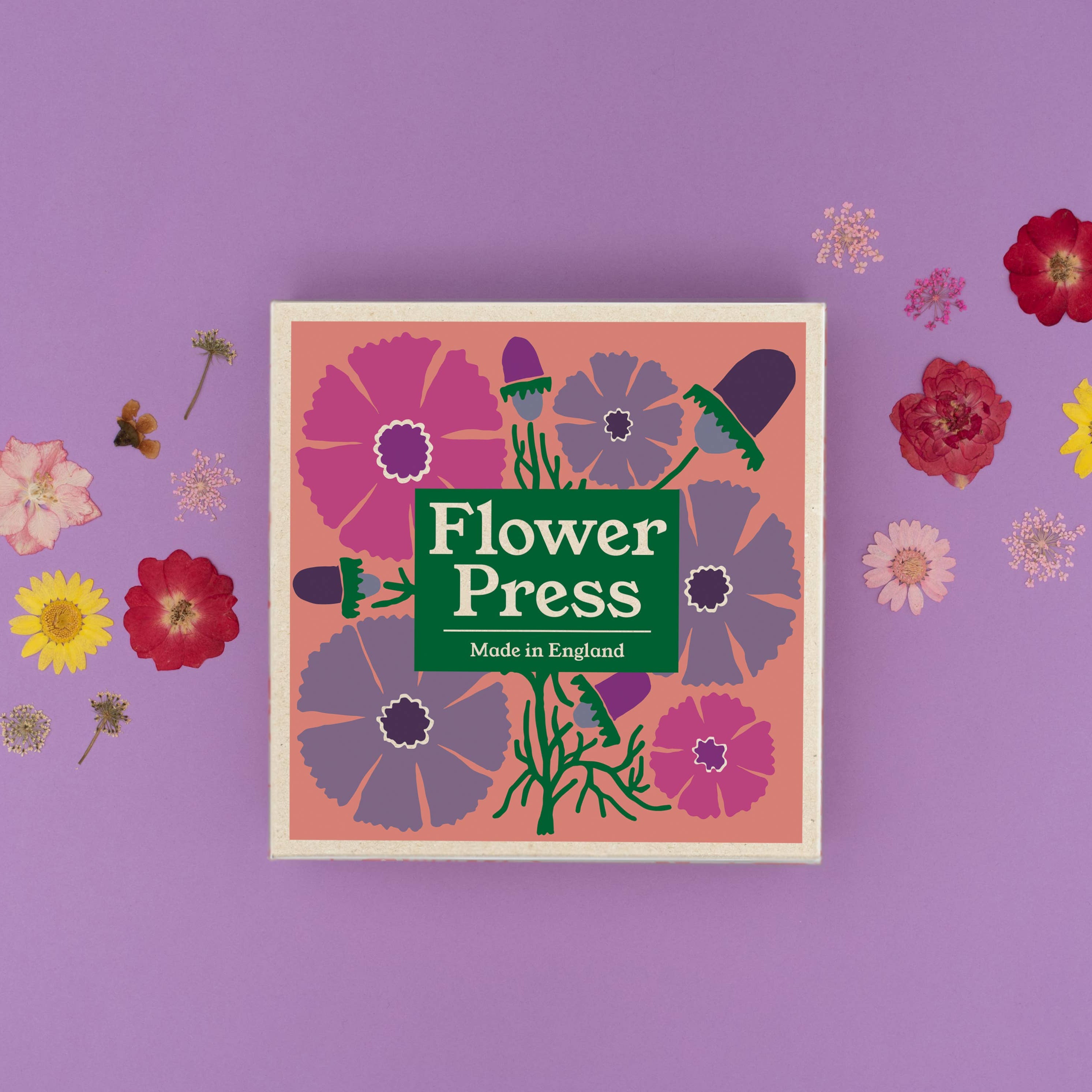 Flower Press | Cosmos